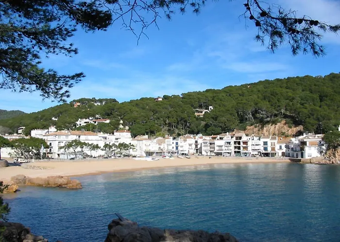 Appartamento A 300 M De La Playa De Mp 502 *