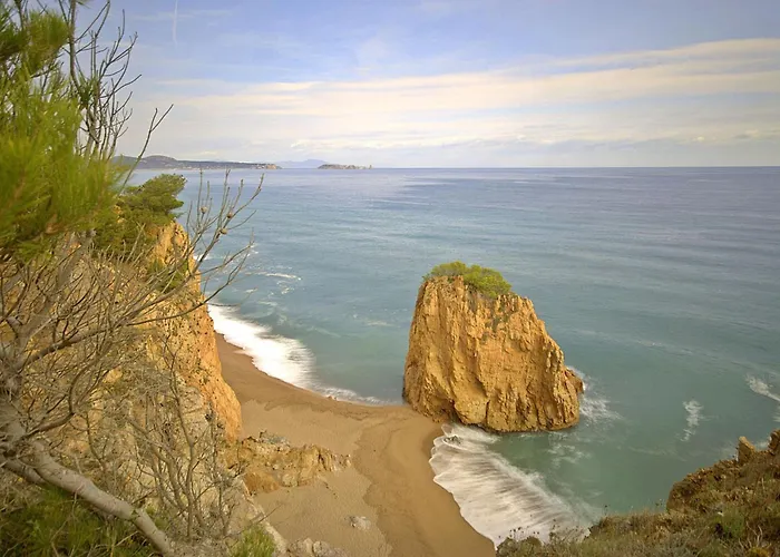 Apartamento A 300 M De La Playa De Mp 502
